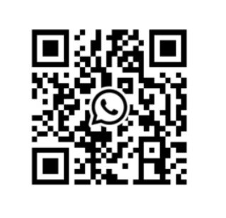 WhatsApp Support